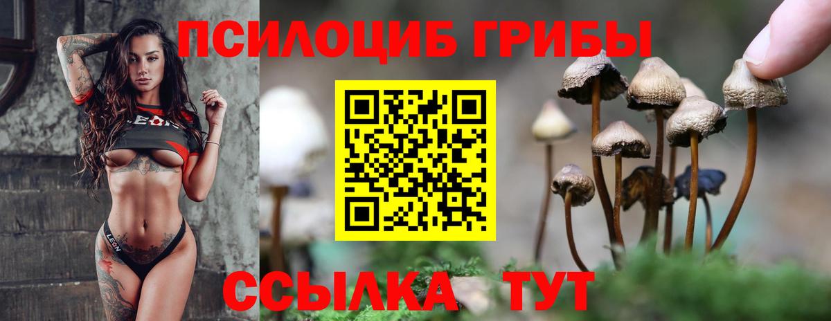 наркота  Вход с VPN  Псилоцибиновые грибы Psilocybine cubensis  Миасс  Галлюциногенные грибы прущие грибы 